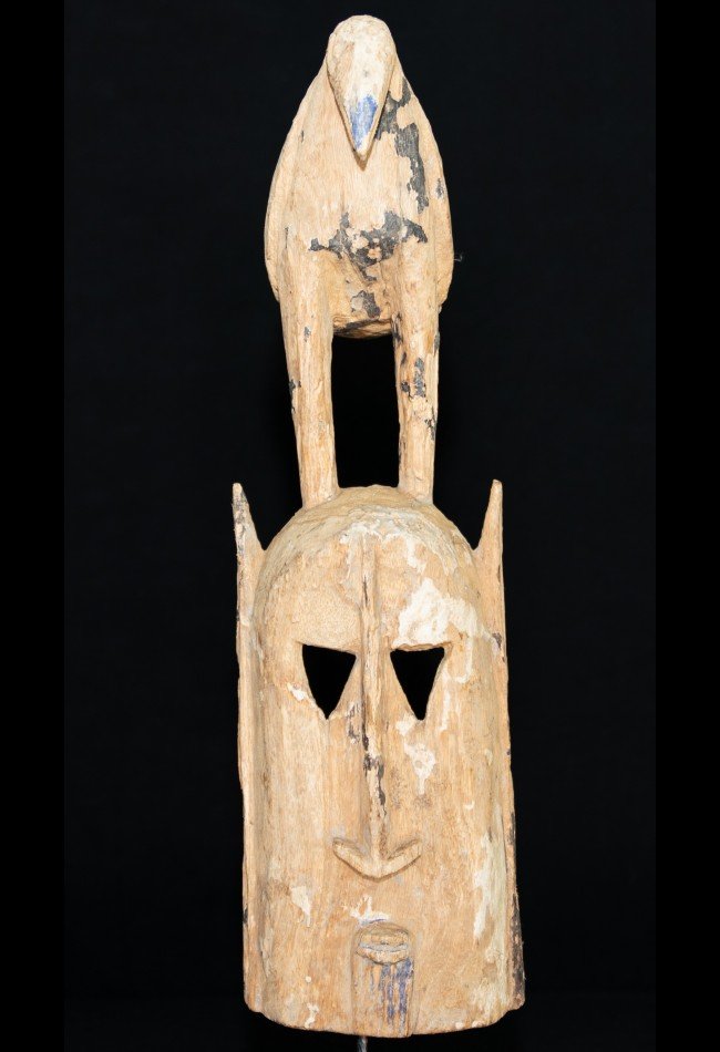 Masque Chokwe Pwo Angola représentant la figure féminine Pwo dans la tradition artistique Chokwe. Une pièce d’art africain destinée aux collectionneurs et amateurs de patrimoine africain.