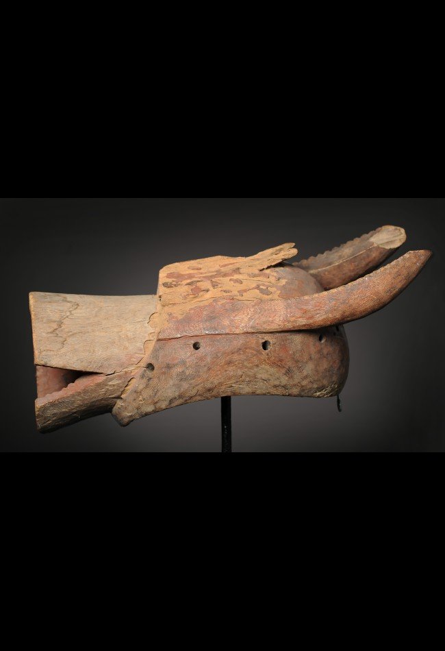 Découvrez notre sélection de masques Mumuye du Nigeria, dont ce rare masque cimier Mumuye zoomorphe représentant un buffle. Des pièces d’art africain recherchées par les collectionneurs et amateurs de sculptures, masques et objets anciens.