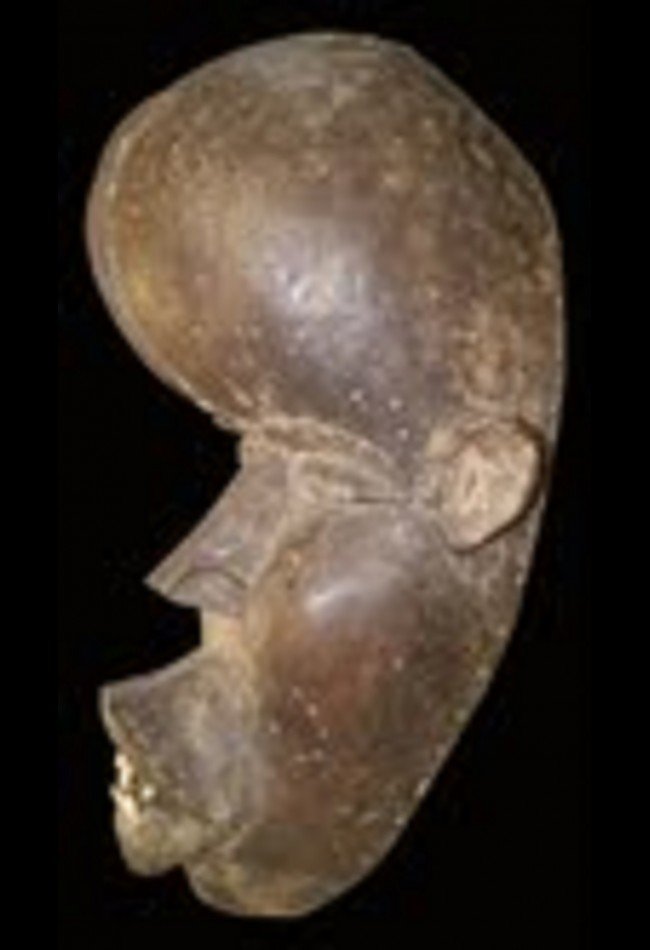 Découvrez notre sélection de **masques africains anciens**, issus de différentes traditions d’Afrique de l’Ouest et centrale. Chaque pièce s’adresse aux collectionneurs et amateurs d’art africain à la recherche d’objets anciens, de masques traditionnels et de témoignages ethnographiques uniques. Explorez notamment les masques Dan de Côte d’Ivoire, ainsi que d’autres pièces provenant de cultures africaines remarquables.